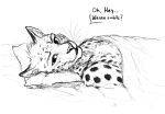  ? anthro bed cheetah digital_media_(artwork) enorach_(0laffson) felid feline furniture lying male mammal monochrome on_back on_bed pillow sketch solo suggestive suggestive_look titusw under_covers 