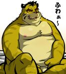  2021 anthro belly eyes_closed felid fur garuganofu genitals humanoid_hands japanese_text kemono male mammal moobs navel nipples overweight overweight_anthro overweight_male pantherine penis simple_background solo text tiger white_background yellow_body yellow_fur 