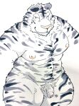  2021 anthro balls barazoku felid flaccid foreskin fur genitals hi_res humanoid_genitalia humanoid_penis kemono male mammal muscular muscular_anthro muscular_male nipples pantherine penis pubes simple_background solo suishou0602 tiger uncut white_background white_body white_fur 