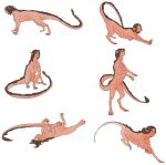 felid female feral hi_res mammal mane mistresssparkles multiple_poses mythological_sphinx mythology nude paws pose quadruped solo thick_tail 