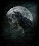  alchemy alternative_fashion avian bird corvid corvus_(genus) dark feral goth oscine passerine raven unknown_artist 