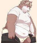  2021 anthro balls_outline belly blush bottomwear brown_body brown_fur bulge canid canine canis clothing domestic_dog fur genital_outline hanji1st hi_res humanoid_hands kemono male mammal navel overweight overweight_anthro overweight_male pants penis_outline shirt solo topwear underwear 