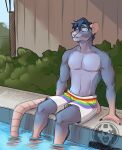  accessory anthro blue_hair bluezeru buckteeth clothing eyes_closed fur grey_body grey_fur hair headband hi_res lgbt_pride male mammal murid murine one-two outside partially_submerged plant pride_colors rat rodent shrub sitting smile solo swimming_pool swimming_trunks swimwear teeth water whiskers 