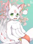  3:4 alanisawolf777 anthro asian_clothing bell black_nose blush bulge canid canine cherry_blossom clothed clothing ear_tuft east_asian_clothing fox fundoshi fur green_eyes hi_res inner_ear_fluff japanese_clothing kemono looking_at_viewer male mammal markings navel open_mouth plant red_body red_fur solo speech_bubble tuft underwear white_body white_fur 