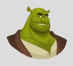  anthro beard body_hair chest_hair clothing dreamworks facial_hair green_body hi_res humanoid looking_at_viewer male muscular muscular_anthro muscular_male ogre pecs polartoons shaved shrek_(character) shrek_(series) solo thebluebear27 