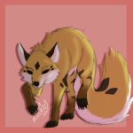  1:1 brown_body brown_fur canid canine canis color_sketch digital_drawing_(artwork) digital_media_(artwork) feral fluffy fluffy_tail fur hi_res male malekart mammal paws shaded simple_background simple_shading sketch sketch_art solo white_body white_fur wolf yellow_body yellow_fur 