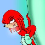  1:1 butt echidna fur genitals humanoid knuckles_the_echidna male mammal monotreme penis red_body red_fur rubbing signature solo sonic_the_hedgehog_(series) 