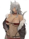  1girl abs absurdres animal_ears bare_shoulders breasts choker cleavage collarbone dark_skin english_commentary eyepatch fur_trim ghyslaine_dedorudia hair_between_eyes hair_over_one_eye hand_on_hip highleg highleg_panties highres hood_(james_x) jacket large_breasts long_hair looking_to_the_side messy_hair mushoku_tensei navel open_clothes open_fly open_jacket panties red_eyes scar scar_on_face scar_on_stomach sidelocks silver_hair solo strap tail toned unbuckled_belt underwear white_background 