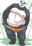  2021 anthro bamboo black_body black_fur black_nose clothing fur giant_panda hi_res humanoid_hands kemono male mammal moobs navel nipples obese obese_male one_eye_closed overweight overweight_male raozone solo underwear undressing ursid white_body white_fur wink 