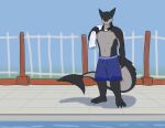  2019 4_toes anthro clothing feet fish holding_object male marine plantigrade rug shark smile solo sonicgamer standing swimming_pool swimming_trunks swimwear toes 