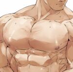  1boy abs bara close-up completely_nude facial_hair head_out_of_frame highres looking_away male_focus muscular muscular_male nipples nude pectoral_focus pectorals shiny shiny_skin solo stubble sweatdrop tokyo_houkago_summoners upper_body zabaniya_(tokyo_houkago_summoners) zabaniyan 