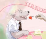  2006 anthro black_nose brown_body brown_fur cake canid canine canis clothing dessert domestic_dog eyes_closed food fruit fur humanoid_hands kemono leopon low_res male mammal plant shirt sitting solo_focus strawberry topwear 