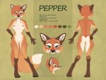  2020 4:3 anthro breasts brown_body brown_fur butt canid canine cheek_tuft english_text facial_tuft female fox fur genitals gloves_(marking) green_background leg_markings mammal markings model_sheet multicolored_body multicolored_fur nipples nude open_mouth open_smile orange_body orange_fur pepper_(shinigamigirl) pussy red_fox shinigamigirl simple_background smile socks_(marking) solo standing text tuft white_body white_fur 