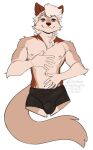  2021 5_fingers anthro brown_eyes canid canine clothed clothing digital_media_(artwork) fingers hi_res kittydee male mammal smile solo topless 