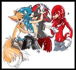  knuckles_the_echidna sega shadow_the_hedgehog sonic_team sonic_the_hedgehog tails 