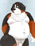  2021 3:4 anthro balls belly bernese_mountain_dog black_body black_fur black_nose blush brown_body brown_fur buried_penis canid canine canis censored domestic_dog flaccid fur genitals hi_res humanoid_genitalia humanoid_hands humanoid_penis inside kemono male mammal molosser moobs mountain_dog navel overweight overweight_male penis solo swiss_mountain_dog white_body white_fur yaki_atsuage 