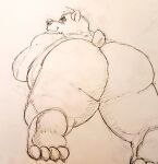  2020 anthro belly big_butt blush butt butt_focus butt_shot claws eyebrows head_tuft looking_back lying male mammal monochrome on_front overweight overweight_male pawpads presenting presenting_hindquarters short_ears short_tail simple_background sketch small_eyes smile solo sosososleazy thick_eyebrows thick_thighs tuft ursid 