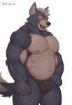  anthro black_clothing black_underwear bulge canid canine canis clothed clothing eye_scar facial_scar fangs fur grey_body grey_fur hi_res looking_at_viewer male mammal muscular muscular_anthro muscular_male nintendo nipples open_mouth pecs scar shugggie simple_background solo star_fox topless underwear video_games white_background white_body white_fur wolf wolf_o&#039;donnell 