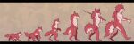  2021 ambiguous_gender anthro canid countershading feral feral_to_anthro fur hair hi_res holding_object holding_spear holding_weapon kemono mammal melee_weapon naturally_censored nude polearm red_body red_fur red_hair sequence simple_background smile spear syo_you9 transformation walking weapon 