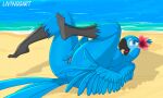  accessory animated anthro anthrofied avian beach beak bedroom_eyes big_breasts bird blue_body blue_eyes blue_feathers blue_macaw blue_sky_studios breasts detailed_background el-loko eyelashes feathers female flower flower_in_hair genitals hair hair_accessory jewel_(rio) livingsart looking_at_viewer lying macaw narrowed_eyes neotropical_parrot non-mammal_breasts nude on_back parrot plant plantigrade pussy rio_(series) scales seaside seductive short_playtime smile solo spix&#039;s_macaw true_parrot winged_arms wings 
