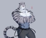  2021 anthro bottomwear clothing felid fur ixkouu male mammal muscular muscular_male pantherine solo stripes tiger 