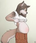  anthro belly big_belly breasts canid canine canis clothing deliveredmean42 female geckoguy123456789 hair hi_res jennifer_(geckoguy123456789) mammal pregnant solo wolf 