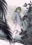  1boy androgynous arm_at_side bangs beige_background berries black_ribbon blurry_foreground cangchen commentary dutch_angle english_commentary enkidu_(fate) eyebrows_visible_through_hair eyes_visible_through_hair fate/grand_order fate/strange_fake fate_(series) fern floating_hair foliage from_below full_body grass green_eyes green_hair grey_background hair_over_eyes highres leaf long_bangs long_hair long_sleeves looking_at_viewer outstretched_arm outstretched_hand pantyhose parted_lips petals plant_request reaching_out ribbon robe sidelocks smile solo toga tunic very_long_hair walking white_legwear white_robe wide_sleeves 