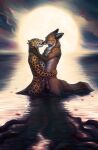  2021 canid canine couple_(disambiguation) day detailed_background digital_media_(artwork) duo embrace felid flower_petals fox fur hi_res hibbary jaguar kissing love male male/male mammal orange_body orange_fur outside pantherine partially_submerged passionate petals romantic_ambiance romantic_couple sea spots spotted_body spotted_fur water white_body white_fur yellow_body yellow_fur 