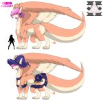 alpha_channel book clothing comparing dragon feathered_dragon feathered_wings feathers female hair hat headgear headwear melody_(sentinelwinder) model_sheet pink_hair quadruped sentinelwinder smile solo tail thick_tail wings witch_hat