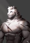  1boy abs absurdres animal_ears arknights bara completely_nude fluffy furry highres looking_to_the_side male_focus mountain_(arknights) muscular muscular_male nipples nude pectorals scar scar_across_eye scar_on_chest short_hair solo spotlight stomach sunlight tiger_(8161228) tiger_boy tiger_ears tiger_stripes upper_body white_fur 