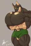  2018 anthro big_muscles boxers_(clothing) canid canine canis clothed clothing crossed_arms dobermann domestic_dog green_eyes grey_background hi_res huge_muscles hyper_pecs looking_at_viewer male mammal muscular pinscher simple_background solo sonicgamer standing underwear underwear_only 