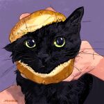 absurd_res ambiguous_gender big_eyes bread catwheezie cute_eyes domestic_cat duo felid feline felis feral feral_focus food fur hi_res human mammal purple_background signature simple_background solo_focus tuft whiskers