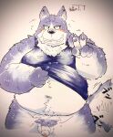  2021 anthro balls belly blush canid canine canis clothing eyes_closed flaccid genitals hi_res japanese_text kemono male mammal navel overweight overweight_male penis shirt solo suishou0602 tailwag text topwear wolf 