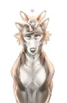 &lt;3 2021 ambiguous_gender ambiguous_on_bottom ambiguous_on_top barefoot beastars belly_tuft black_body black_claws black_eyebrows black_eyes black_fur black_nose canid canine canis carrying cheek_tuft claws deygira-blood digital_drawing_(artwork) digital_media_(artwork) duo eyebrows facial_tuft fennec feral feral_on_bottom feral_on_top fluffy fox front_view fur fur_tuft graphite_(artwork) grey_body grey_eyes grey_fur greyscale half-closed_eyes half-length_portrait head_tuft hi_res inner_ear_fluff larger_ambiguous larger_feral leg_tuft legoshi_(beastars) looking_at_viewer lying mammal monochrome narrowed_eyes neck_tuft nude on_bottom on_front on_head on_top one_eye_closed paws portrait quadruped simple_background size_difference smaller_ambiguous smaller_feral smaller_on_top smile standing traditional_media_(artwork) tuft voss_(beastars) white_background wide_eyed wolf 