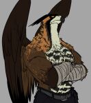  2018 aarakocra accipitrid accipitriform anthro aquilinae avian beak belt bird biteghost black_body black_feathers bottomwear brown_body brown_feathers clothing crossed_arms digital_media_(artwork) dungeons_and_dragons eagle feathered_wings feathers front_view frown grey_background half-length_portrait hasbro izzy_(biteghost) male male_(lore) multicolored_body multicolored_feathers muscular muscular_anthro muscular_male ornate_hawk-eagle pants portrait simple_background solo white_body white_feathers wings wizards_of_the_coast yellow_sclera 