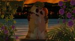  atimon disney duo embrace eyes_closed feral flower french_kissing herpestid kissing love male male/male mammal meerkat partially_submerged passionate plant romantic romantic_ambiance romantic_couple sunset the_lion_king timon water 