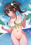  1girl :q absurdres ahoge ass_visible_through_thighs beach bikini bikini_top_only bird blush bottomless bra breasts brown_hair cat_hair_ornament cleft_of_venus closed_mouth cloud detached_sleeves frilled_bikini frilled_bra frills green_eyes green_ribbon hair_between_eyes hair_ornament hair_ribbon heart highres hololive lens_flare looking_at_viewer natsuiro_matsuri navel ocean ontake2009 outdoors palm_tree patterned patterned_clothing pussy ribbon ribbon-trimmed_bikini ribbon-trimmed_bra ribbon_trim seagull side_ponytail small_breasts smile solo star_(symbol) star_tattoo swimsuit tattoo tongue tongue_out tree underwear virtual_youtuber water_drop wet white_bra white_swimsuit 
