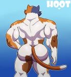 abs absurd_res animal_humanoid anthro back_muscles big_butt butt calico_cat dg254 digital_media_(artwork) domestic_cat epic_games felid feline felis fortnite fur hi_res humanoid male mammal mammal_humanoid meowscles muscular muscular_anthro muscular_male nude simple_background solo tail thick_thighs