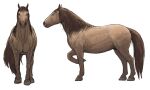 anatomically_correct animal_genitalia brown_body brown_eyes brown_fur brown_mane brown_tail digital_media_(artwork) equid equine eye_reflection feral front_view fur genitals glistening glistening_eyes hi_res horse light lighting looking_at_viewer male mammal mane model_sheet nude raised_leg reflection sheath side_view simple_background standing tail white_background zw3