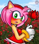 absurd_res accessory amy_rose anthro brush brushing clothed clothing dress eulipotyphlan female flower fur gloves green_eyes hair hair_accessory handwear hedgehog hi_res looking_at_viewer mammal open_mouth pink_body pink_fur pink_hair plant sega sirjzau solo sonic_the_hedgehog_(series)