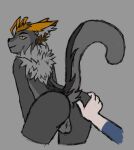 anthro anus aroused ball_tuft balls blonde_hair brown_hair butt butt_grab clothed clothing domestic_cat duo felid feline felis fur genitals grey_body grey_fur hair hand_on_butt jaycemutt low_res male male/male mammal neck_tuft nemejchyk nemejchyk_(artist) orange_hair paws pinup pose sexy_eyes smile spread_butt spreading tail_under_skirt tail_upskirt tuft upskirt white_paws yellow_eyes