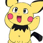  nintendo pichu pokemon tagme 