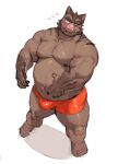 2024 absurd_res anthro belly blush brown_body bulge clothing dubudubudubudub hermann_(knights_college) hi_res humanoid_hands kemono knights_college male mammal moobs navel nipples one_eye_closed overweight overweight_male simple_background solo suid suina sus_(pig) underwear wild_boar