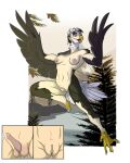  4:5 accipitrid accipitriform anthro avian bald_eagle beak bird bird_feet breasts brown_body brown_feathers claws eagle feathered_wings feathers female gender_transformation genitals gynomorph hi_res human human_to_anthro intersex mammal mtf_transformation nipples nude outside penis_shrinking plant pussy sea_eagle solo species_transformation tail_feathers tellarasa transformation tree wings 