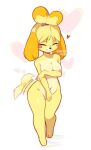  &lt;3 2020 animal_crossing anthro black_nose blonde_hair blush blush_stickers breasts canid canine canis coffeechicken covering covering_breasts domestic_dog female fur genitals hair hi_res isabelle_(animal_crossing) mammal navel nintendo nipples nude pussy shih_tzu simple_background solo tailwag toy_dog video_games white_background wide_hips yellow_body yellow_fur 