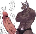 abs accessory anthro black_clothing black_underwear canid canine canis censored censored_genitalia clothed clothing crossed_arms erection facial_hair genitals goatee grey_body hair humanoid_genitalia humanoid_penis japanese_text jewelry kurosuke0755 male mammal muscular muscular_anthro muscular_male necklace partially_clothed penis smile solo text underwear white_hair wolf
