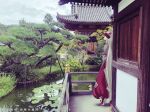  1girl arms_behind_back bow facing_away fujiwara_no_mokou hair_bow lily_pad long_hair mokoiscat ofuda ofuda_on_clothes outdoors pants photo_background pond red_pants solo suspenders temple tiptoes touhou tree water white_hair 