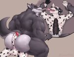  2021 anthro anthro_on_anthro back_muscles balls big_butt big_muscles black_spots bubble_butt butt canid canine canis cutaway dalmatian domestic_dog duo erection fur genitals grey_background grey_body grey_fur hi_res hot_dogging humanoid_genitalia humanoid_penis looking_back lying male male/male male_on_bottom male_on_top mammal multicolored_body multicolored_fur muscular muscular_anthro muscular_male nude on_back on_bottom on_top open_mouth open_smile penis power_bottom raikarou ren_(raikarou) simple_background sitting size_difference small_dom_big_sub smile spots spotted_body spotted_fur thick_thighs tongue tongue_out two_tone_body two_tone_fur were werecanid werecanine werewolf white_body white_fur wolf 