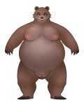2024 anthro areola bear belly big_areola big_belly big_nipples biped black_claws black_eyes blush breasts breasts_apart brown_body brown_breasts brown_ears brown_fur brown_nose brown_pubes cheek_tuft claws clothing digital_drawing_(artwork) digital_media_(artwork) dreamworks eyelashes facial_tuft female finger_claws front_view full-length_portrait fur fur_tuft genitals green_sclera huge_belly looking_at_viewer mama_bear mama_bear_(puss_in_boots) mammal mature_anthro mature_female navel nipples nude nude_anthro nude_female open_mouth open_smile outie_navel overweight overweight_anthro overweight_female piercing pink_areola pink_nipples portrait pubes puss_in_boots_(dreamworks) pussy ring_piercing simple_background smile smiling_at_viewer snout solo standing thick_neck thick_thighs toe_claws tuft white_background 翌檜＠絶望間近