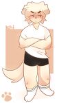 absurd_res anthro bird_dog bottomwear bulge canid canine canis clothed clothing domestic_dog footwear fur golden_retriever hi_res hunting_dog ichbinturkisch ichi_(character) male mammal pouting retriever shirt shorts simple_background socks solo tan_body tan_fur topwear white_clothing white_shirt white_topwear